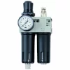 Budget 👏 SCHNEIDER ELECTRIC Schneider Filtereinheit WE 2-fach 1/4 W Regelbereich 0-12 Bar DGKD226026 💯 8