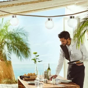 Budget ✨ SCHNEIDER ELECTRIC LED Hänge-Solarleuchte Kugel Außenleuchte Dämmerungsautomatik Metall Kunststoff 👏 9