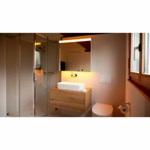 Brandneu 👍 SCHNEIDER ELECTRIC Schneider DAILY Line Ultimate LED Lichtspiegelschrank, 2 Doppelspiegeltüren, 100×74,8x13cm, 178.100.02.02, Ausführung: CH-Norm/Korpus Weiss – 178.100.01.02 ⌛ 9