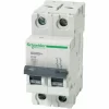 Billig ❤️ SCHNEIDER ELECTRIC Palmenblätter Gerahmtes Bild – MDF – 30 X 40 Cm – Grün 😀 5