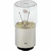 Coupon 👍 Schneider Electric Glühlampe DL1BA260 🔔 5